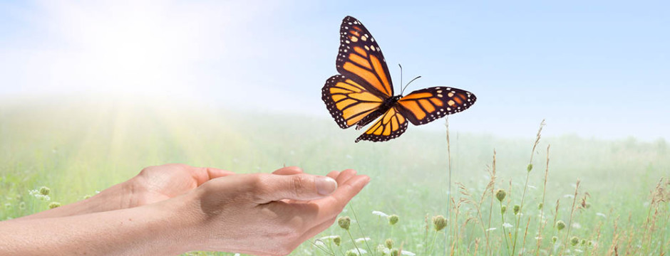 No need to become a monk all it takes is 10 minutes!